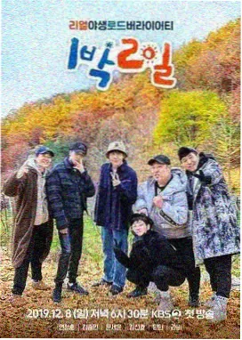 大学达人秀 综艺 2026